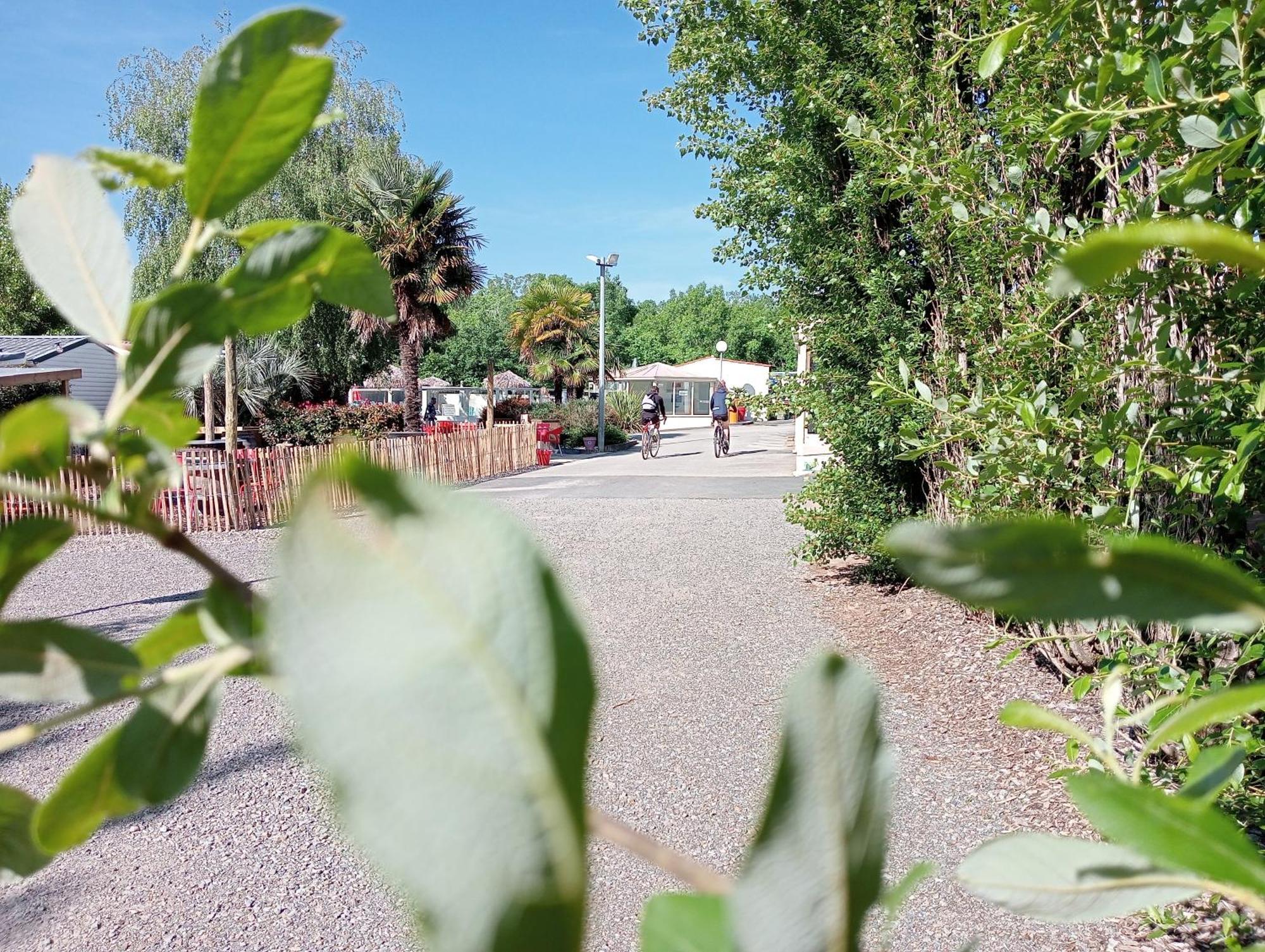 Camping Les Mancellieres Avrillé エクステリア 写真